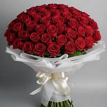 Букет 101 Красная роза Блэк Мэджик в Ёгле