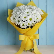 Букет цветов из:  Хризантемы в Ёгле