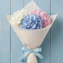 Букет цветов из:  Гортензия в Ёгле