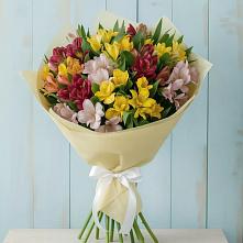 Букет цветов из:  Альстромерии в Ёгле
