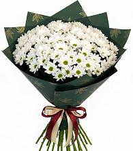 Букет цветов из:  Хризантемы #REPLACE_PRED# Ёгле