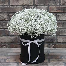 Цветочная композиция из Гипсофила в шляпной коробке в Ёгле