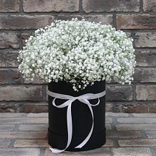 Цветочная композиция из Гипсофила в шляпной коробке в Ёгле